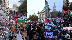 Moção de solidariedade ao povo palestino