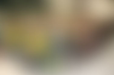 Assembleia vota paralisação e mobilização ao CUV no dia 24/2