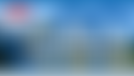 Técnico-administrativos estão sem mandato nos conselhos superiores