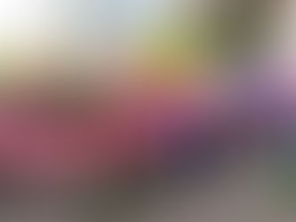 SINTUFF e CSP-CONLUTAS participam de 1º de maio classista