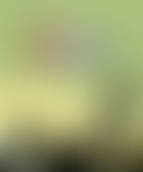 Programação do VII CONSINTUFF