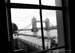 From the Tower