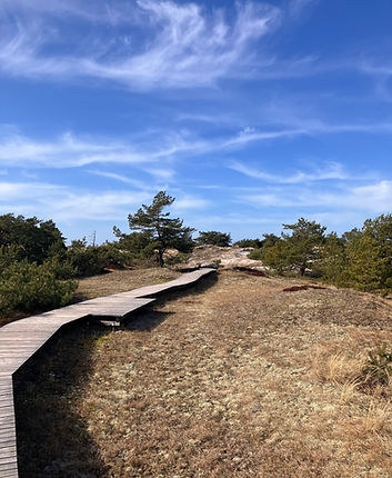 Rundwanderweg Prerow