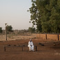 ISNTD_Connect_Inediz-1.jpg