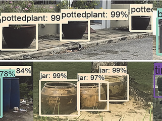 Mosquito control: targeting breeding sites using street view images