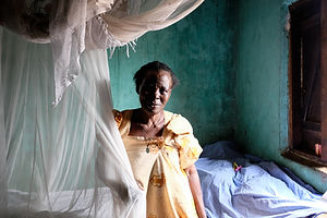 Mosquito arboviral surveillance Ho Chi M