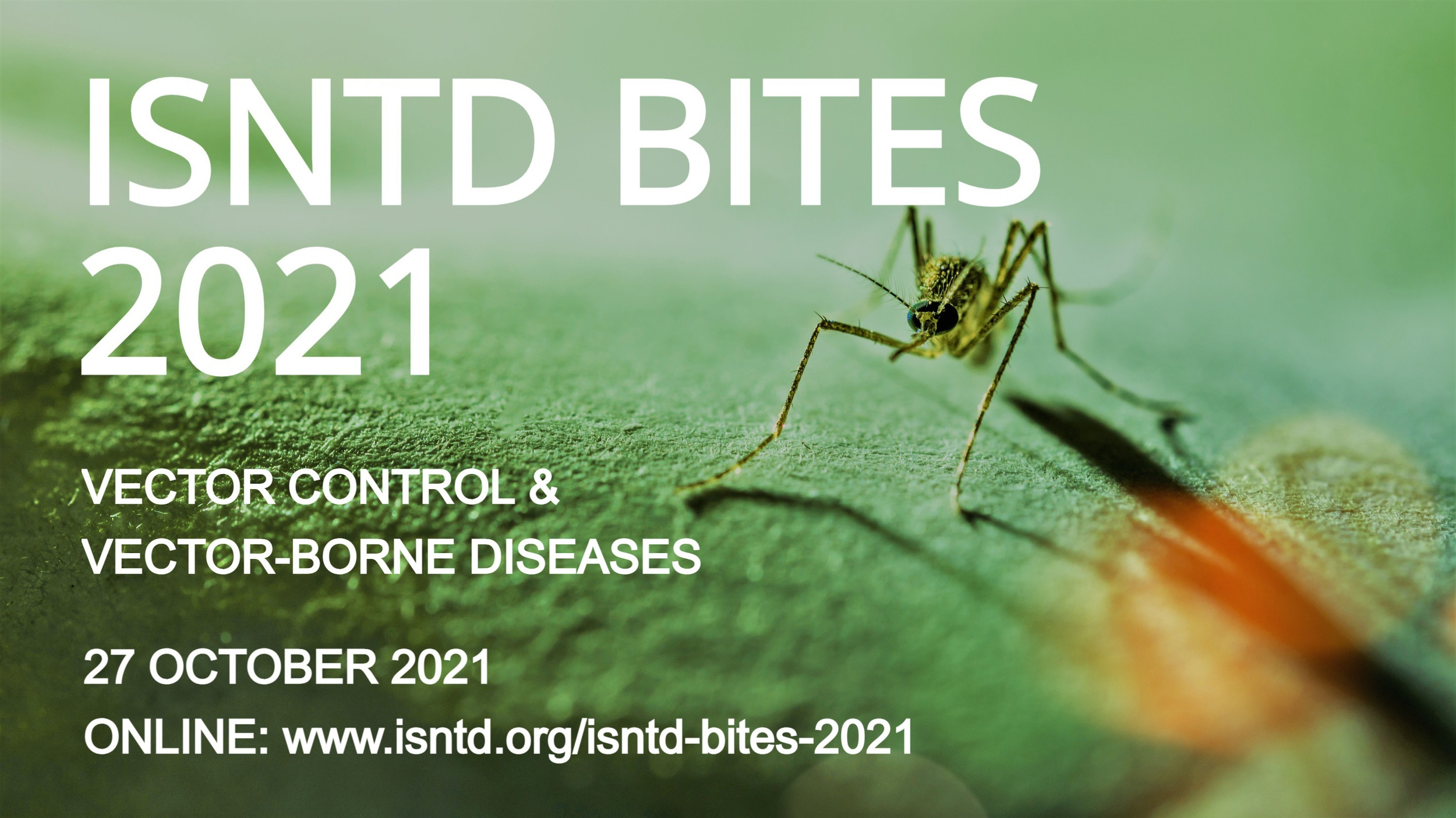 Isntd Bites 2021 Isntd Isntd Bites 2021 Isntd