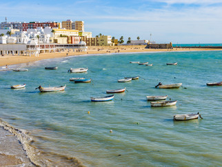 Dengue returns to Spain: first autochthonous cases in the south of the country