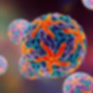AdobeStock_89001593 dengue.jpeg