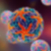 AdobeStock_89001593 dengue.jpeg