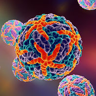 AdobeStock_89001593 dengue.jpeg
