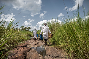 Mosquito arboviral surveillance Ho Chi M