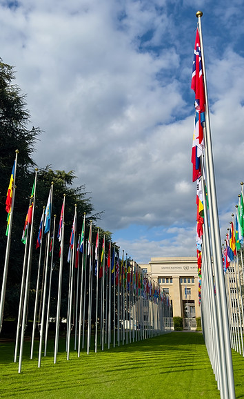 WHA79 _ UN.jpeg