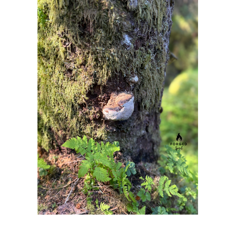 The Inner Work of Leadership