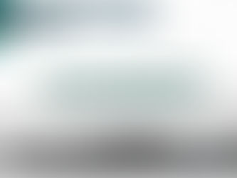 TT Talks: Environmental Equities​