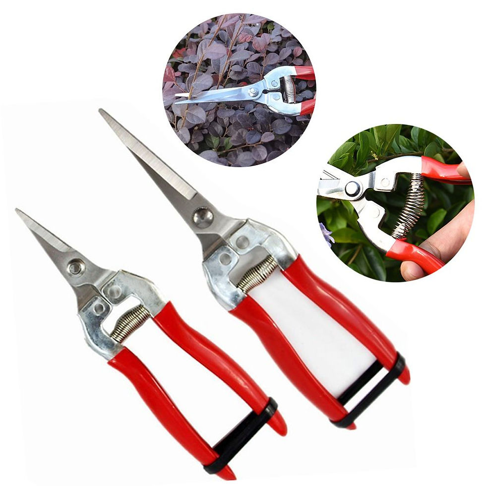 Thumbnail: Gardening Hand Pruner Garden Scissors Pruning Shears Micro-Tip Pruning Snips Lea