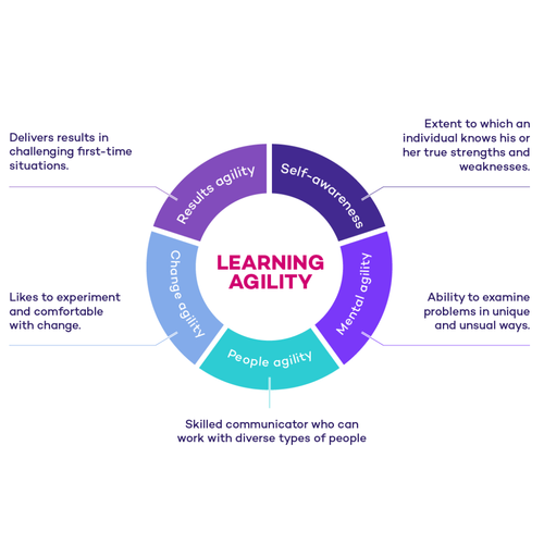 Korn Ferry Learning Agility | Cooper Management Consulting