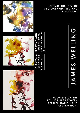 JAMES WELLING SMALLER FILE.1.jpeg