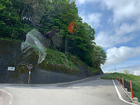 IMG_3122.jpeg