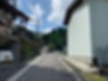 IMG_3123.jpeg