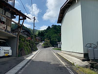 IMG_3123.jpeg