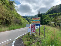 IMG_3119.jpeg