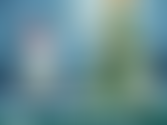 Top 10 tips a stress free Christmas!