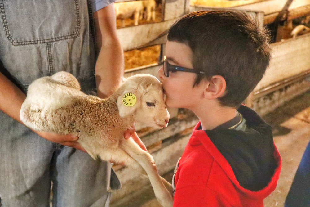 Ferme Marichel par Destination Québec en Famille