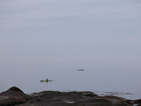 3 jours sur la Belle Côte-Nord