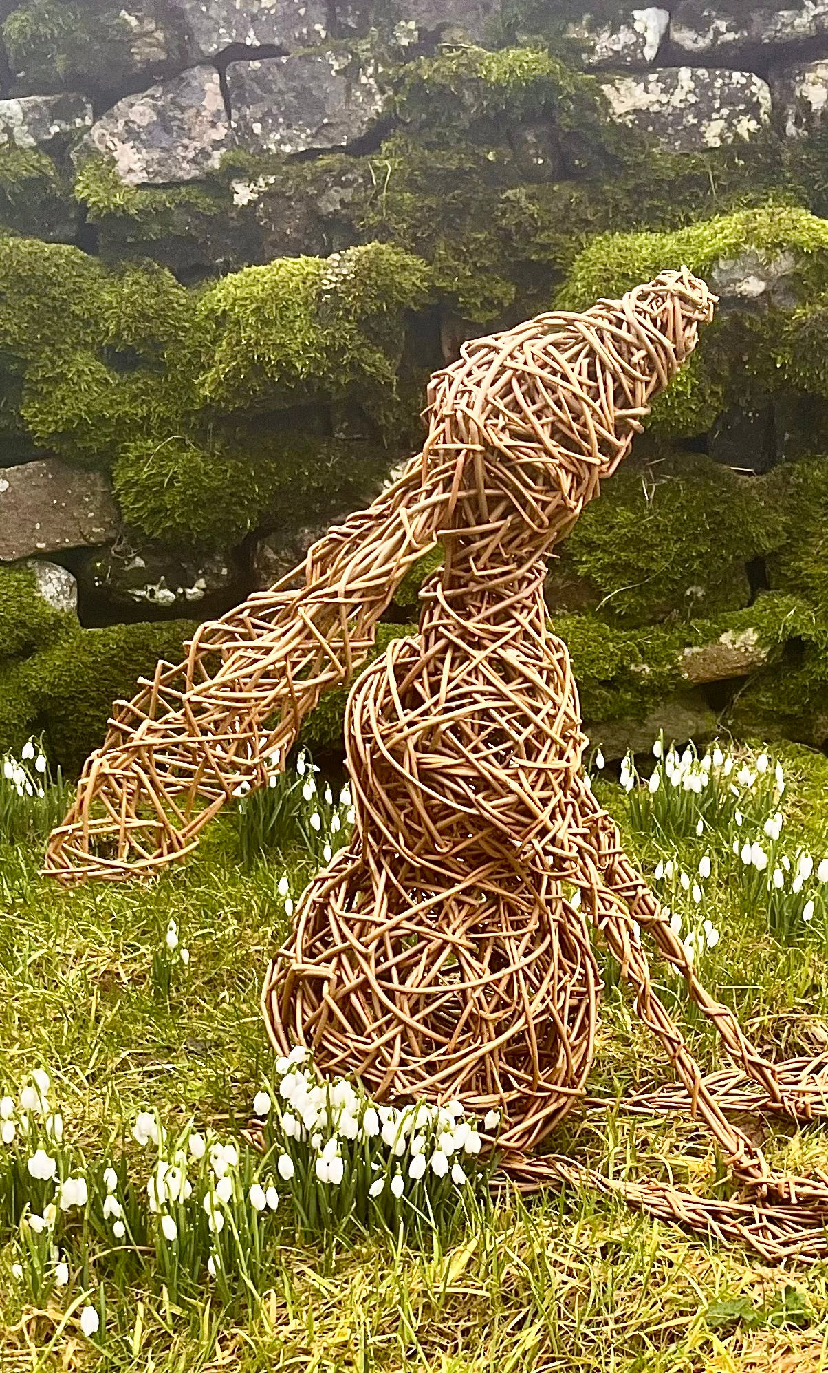 willow moon gazing hair set against a mossy wall and surrounded by snow drops