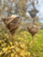 Set of 3 willow bird feeders