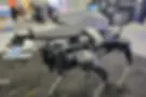 A robotic dog with a rifle on its back.