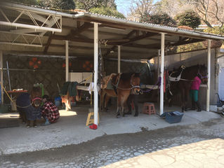 大・中・小