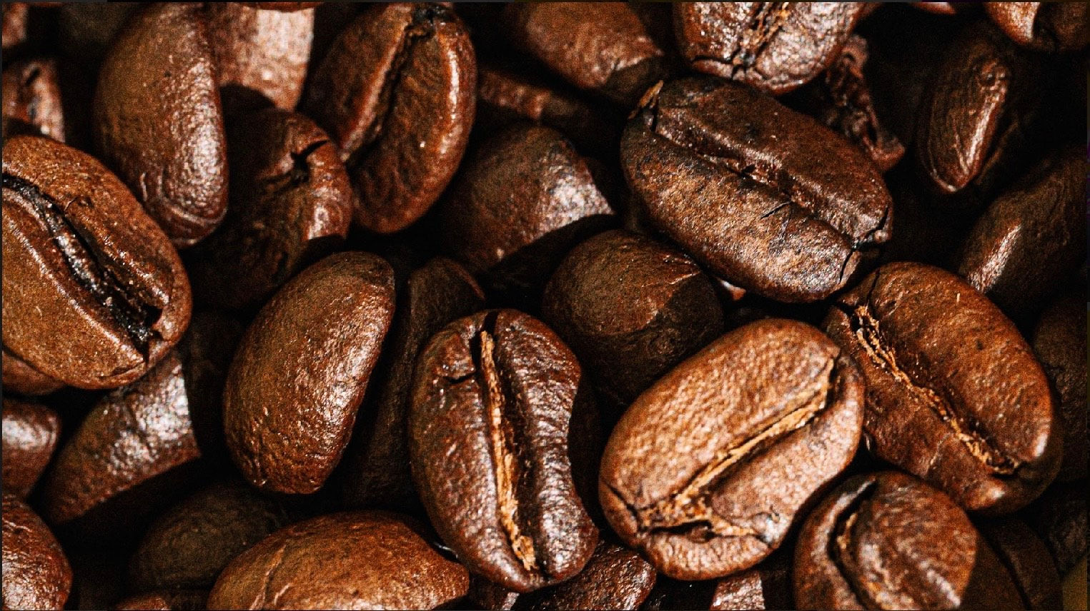 Ritual Specialty Coffee