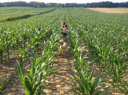BOYS IN FIELD