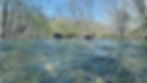 river-001.jpg