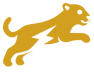 LOGO LEOPARD_edited.png
