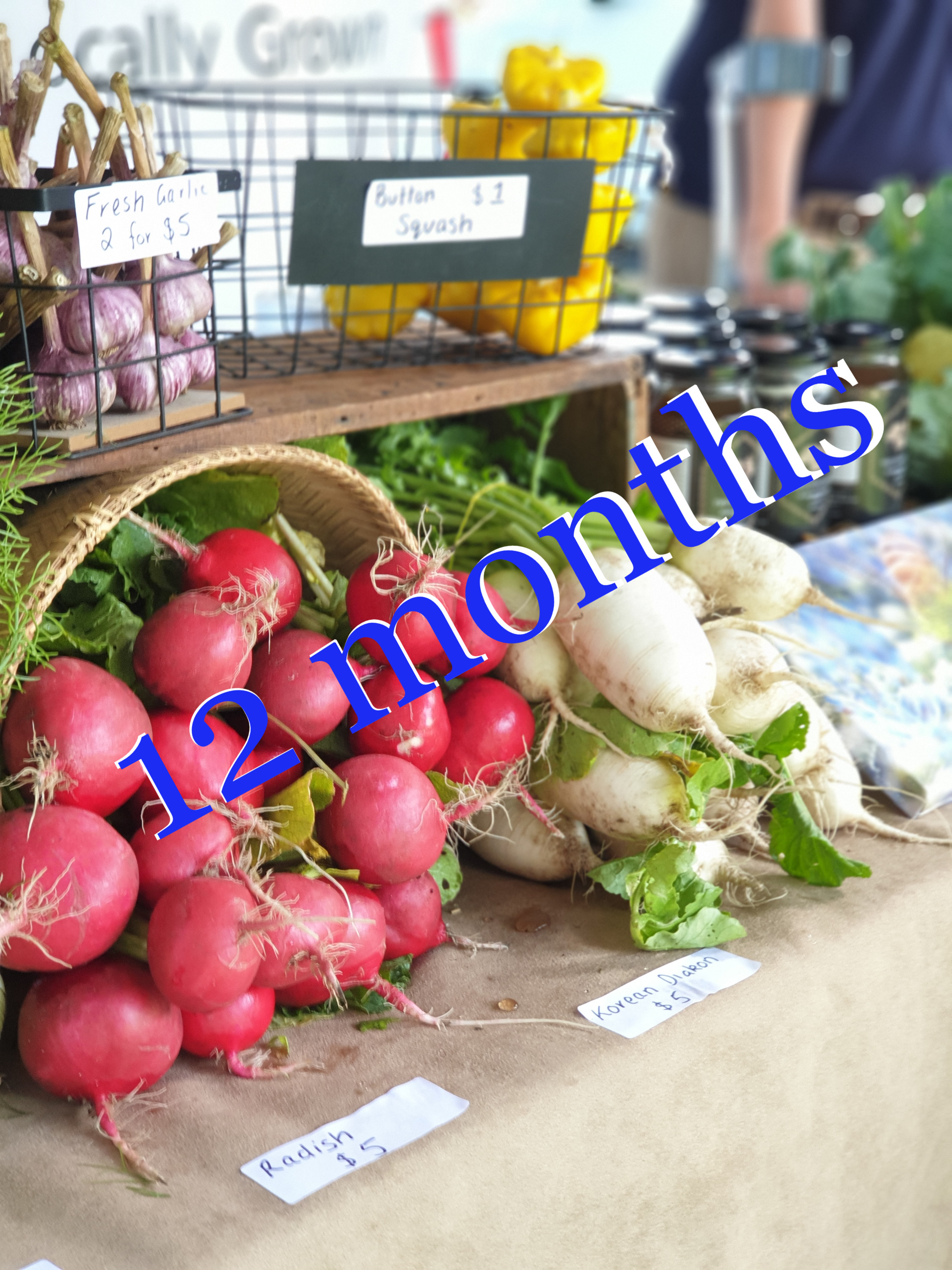 SINGLE STALL 12 months
