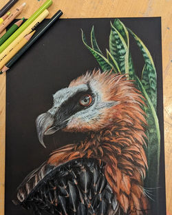 inquire for price and shipping