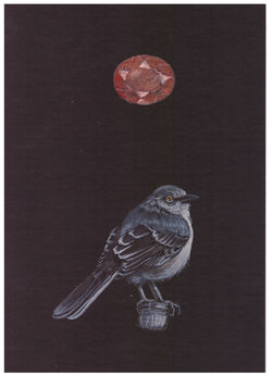 inquire for price and shipping