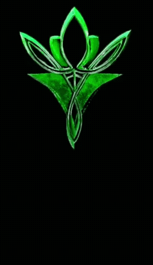 Custom dimensions 300x520 px (2).gif