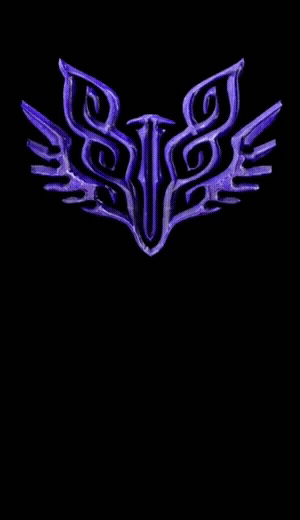 Custom dimensions 300x520 px (4).gif