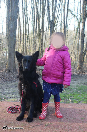 education canine blois, education canine loir et cher, éducateur canin blois, éducateur canin loir et cher, comportementaliste canin blois, comportementaliste canin loir et cher