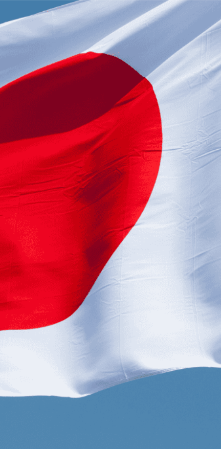 coconut activated charcoal for Japan