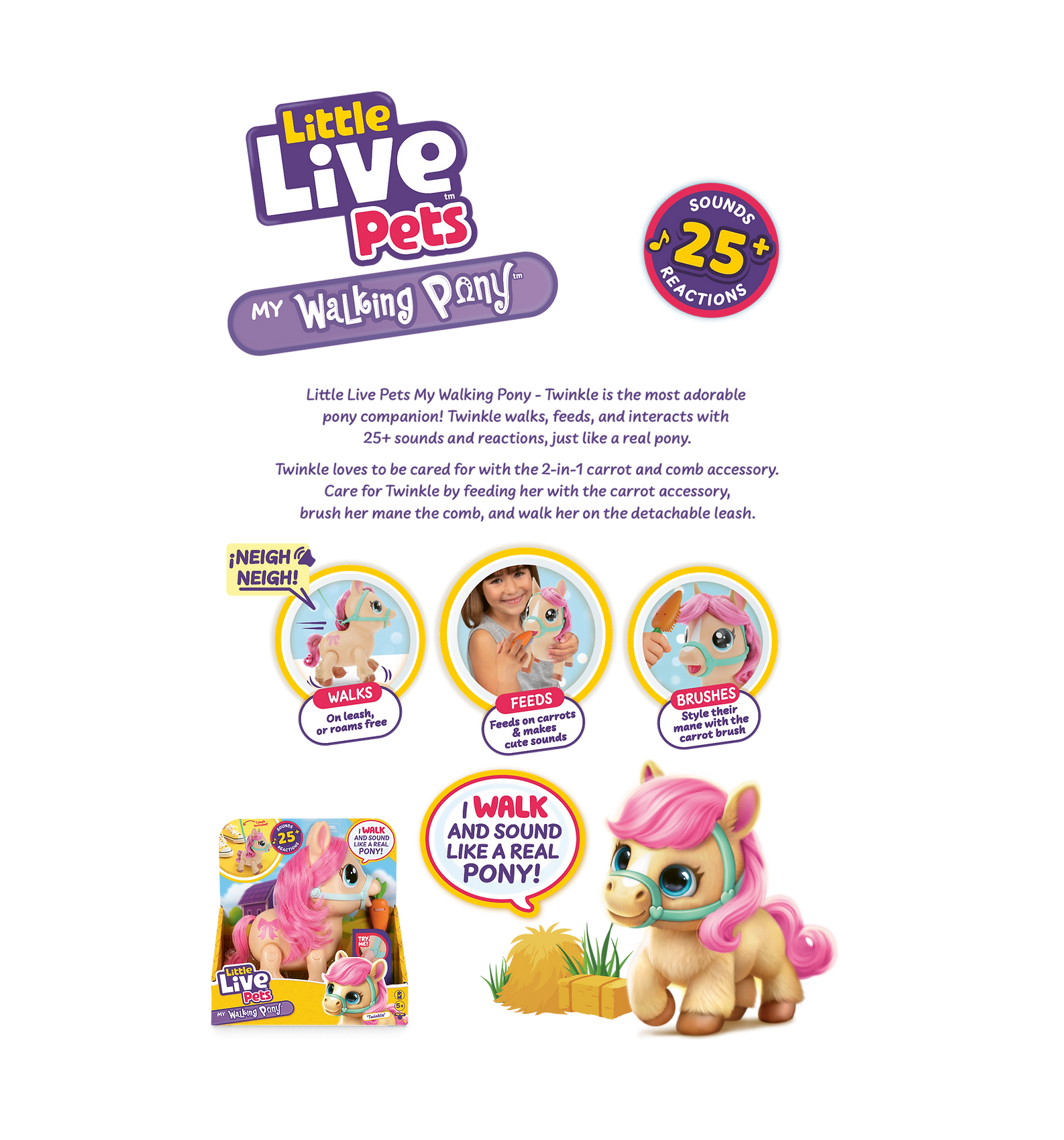 Pony_page.png