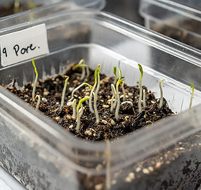 WhatsApp Image 2025-05-27 at 12.24_edited.jpg