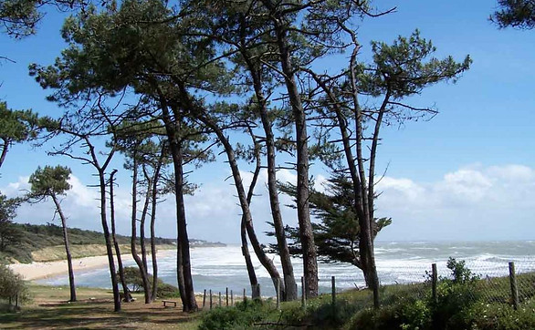 Jard sur Mer.jpg