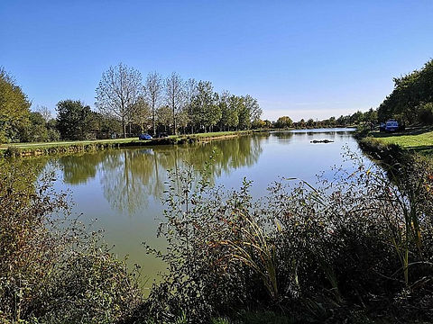 Plan d'eau Saligny.jpg