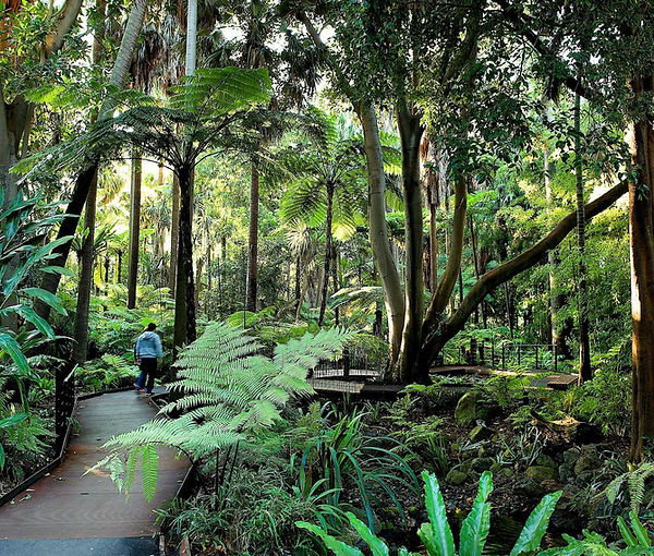Royal Botanic Gardens.jpeg