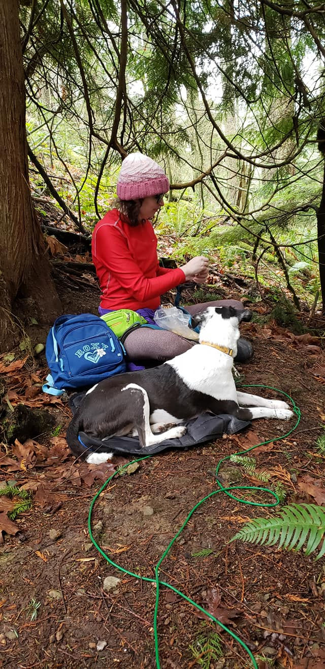A white, brunette person with shoulder-length hair under a pink beanie and wearing a red long-sleeve shirt and brown leggings is sitting in a forest. The ground is dark brown dirt and there is a tree over the person. There is a black and white dog laying down facing the person. The person has a green fanny pack on their waist and a small blue backpack next to them.